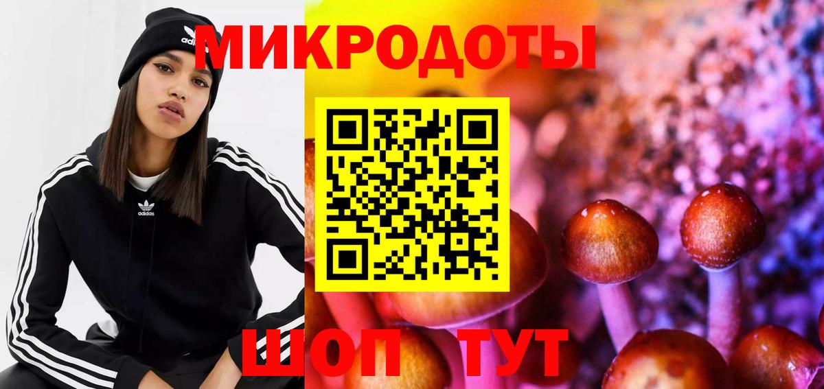 Кохма  Галлюциногенные грибы Psilocybe  Вход с VPN  Галлюциногенные грибы Cubensis 